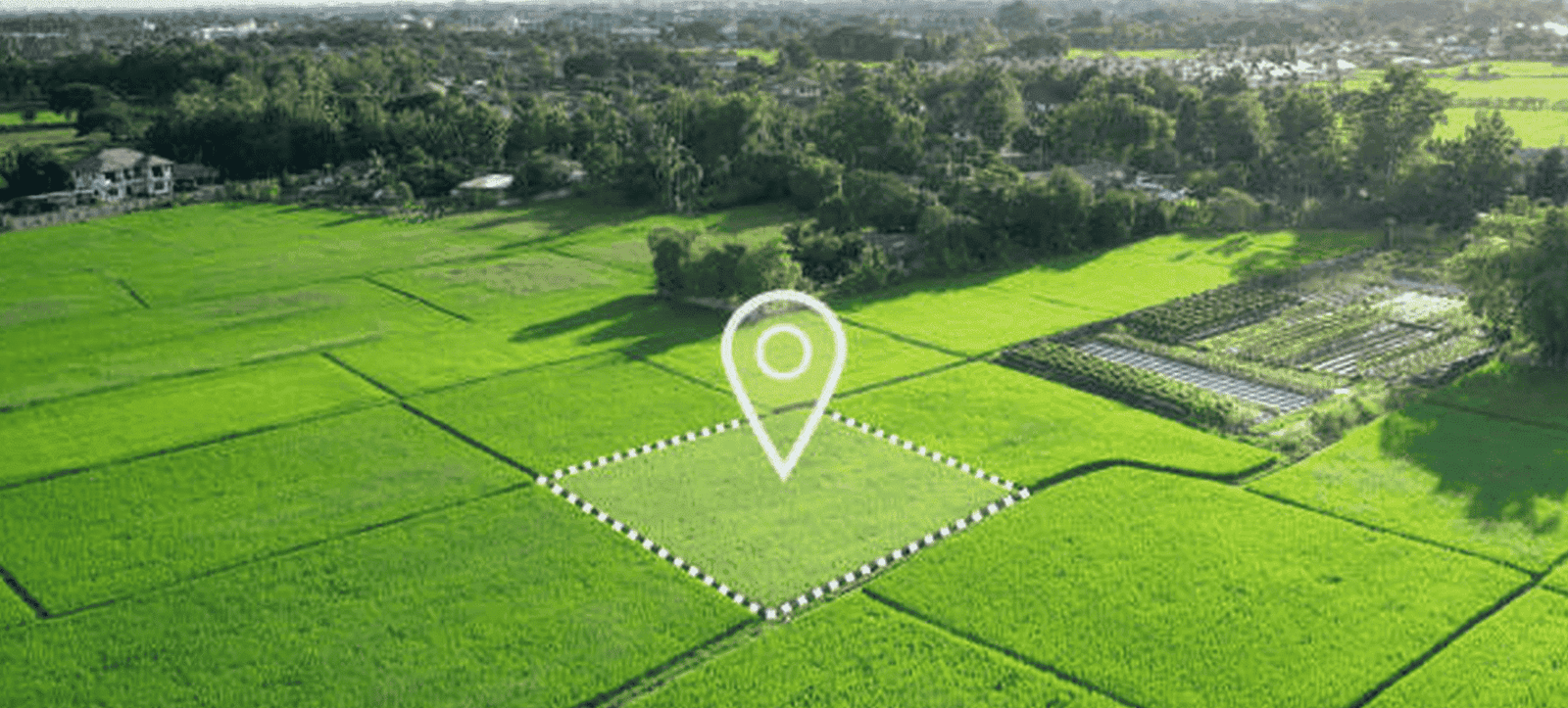 gayrimenkul danışmanı